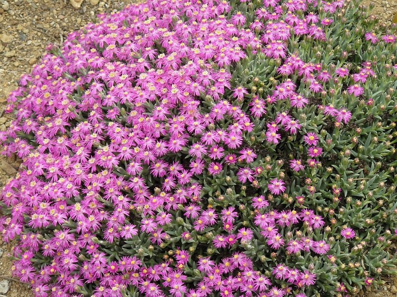 2008 05 Séjour à Martel 06